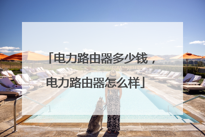 电力路由器多少钱，电力路由器怎么样