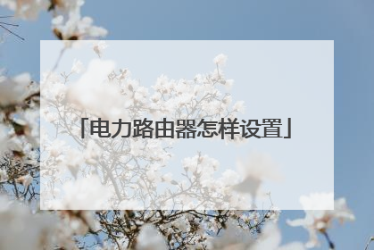 电力路由器怎样设置