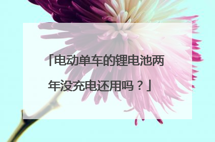 电动单车的锂电池两年没充电还用吗?
