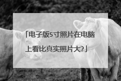 电子版5寸照片在电脑上看比真实照片大?