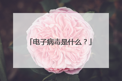 电子病毒是什么?
