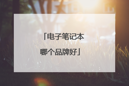 电子笔记本哪个品牌好