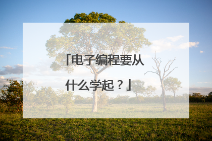 电子编程要从什么学起？