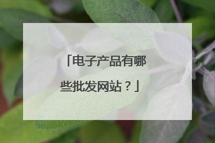 电子产品有哪些批发网站?