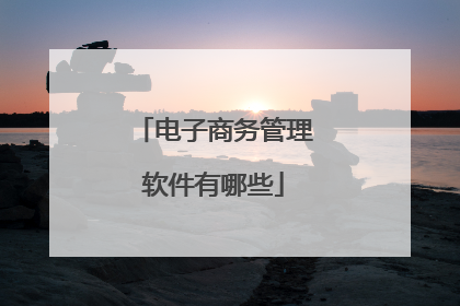 电子商务管理软件有哪些