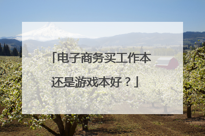电子商务买工作本还是游戏本好？