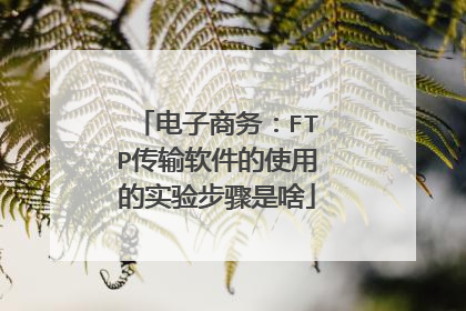 电子商务：FTP传输软件的使用的实验步骤是啥