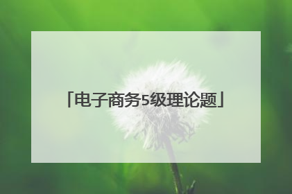 电子商务5级理论题