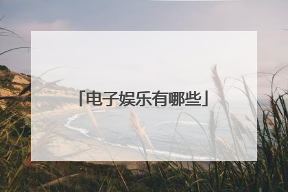 电子娱乐有哪些