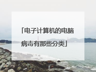 电子计算机的电脑病毒有那些分类