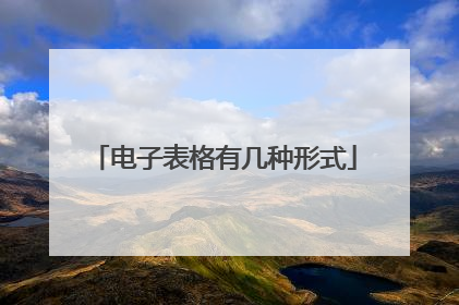 电子表格有几种形式