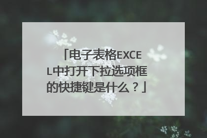 电子表格EXCEL中打开下拉选项框的快捷键是什么？