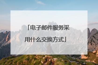 电子邮件服务采用什么交换方式
