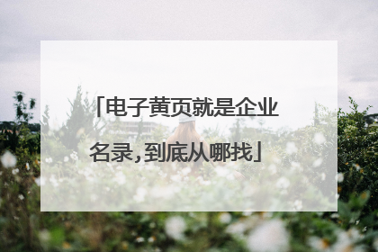 电子黄页就是企业名录,到底从哪找
