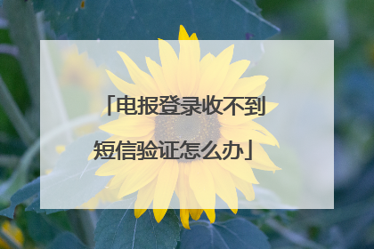 电报登录收不到短信验证怎么办
