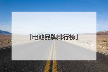 电池品牌排行榜