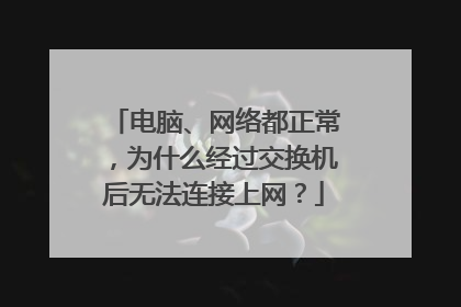 电脑、网络都正常,为什么经过交换机后无法连接上网?
