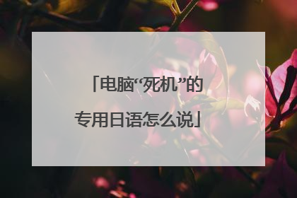 电脑“死机”的专用日语怎么说