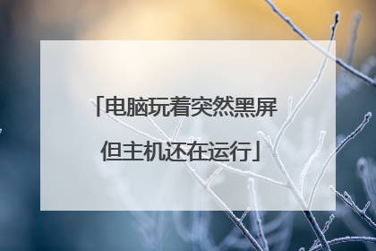电脑玩着突然黑屏 但主机还在运行