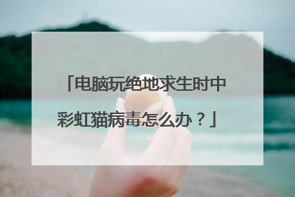电脑玩绝地求生时中彩虹猫病毒怎么办?
