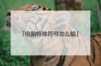 电脑特殊符号怎么输