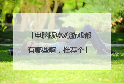 电脑版吃鸡游戏都有哪些啊,推荐个