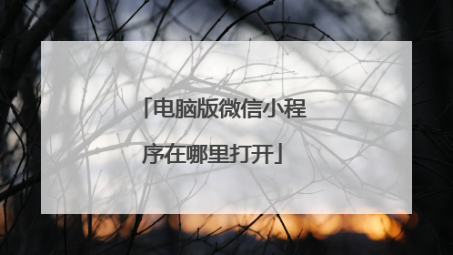 电脑版微信小程序在哪里打开
