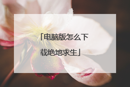 电脑版怎么下载绝地求生