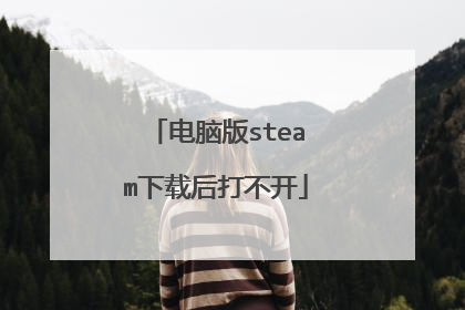 电脑版steam下载后打不开