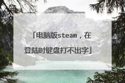 电脑版steam,在登陆时键盘打不出字