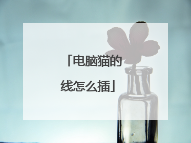 电脑猫的线怎么插