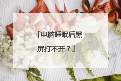 电脑睡眠后黑屏打不开？