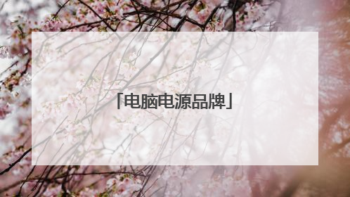 电脑电源品牌