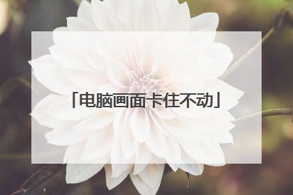 电脑画面卡住不动