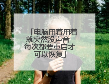 电脑用着用着就突然没声音 每次都要重启才可以恢复