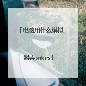 电脑用什么模拟器弄snkrs