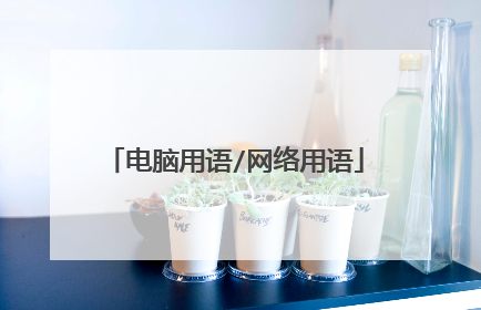电脑用语/网络用语