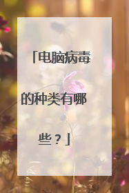 电脑病毒的种类有哪些?