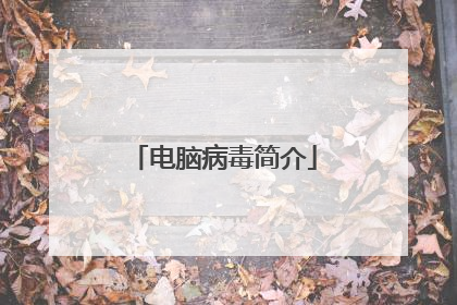 电脑病毒简介