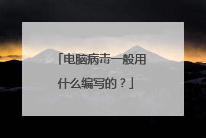 电脑病毒一般用什么编写的?