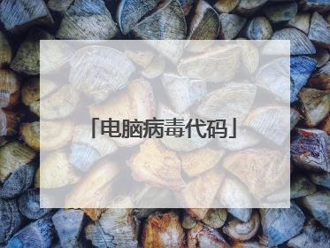 电脑病毒代码