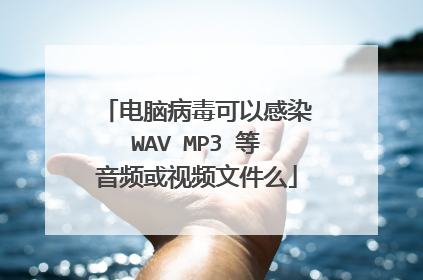 电脑病毒可以感染WAV MP3 等音频或视频文件么