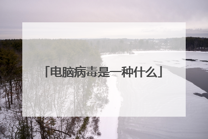 电脑病毒是一种什么