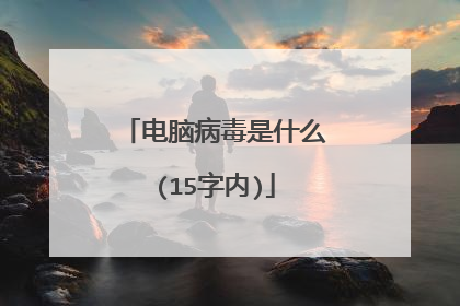 电脑病毒是什么(15字内)