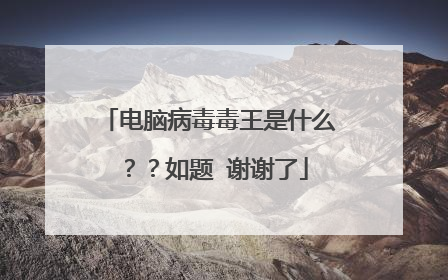 电脑病毒毒王是什么??如题 谢谢了