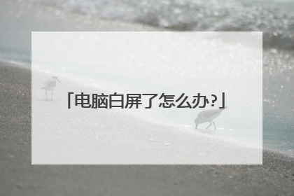 电脑白屏了怎么办?