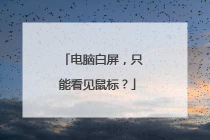 电脑白屏，只能看见鼠标？
