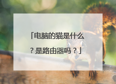 电脑的猫是什么？是路由器吗？