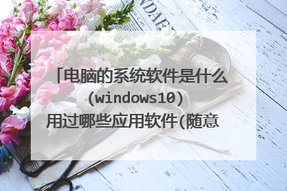 电脑的系统软件是什么(windows10)用过哪些应用软件(随意列举,要引到办公