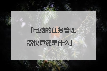 电脑的任务管理器快捷键是什么